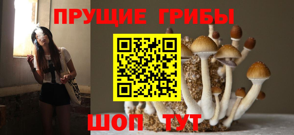 купить наркотик  Вход с VPN  Александров  Псилоцибиновые грибы ЛСД 